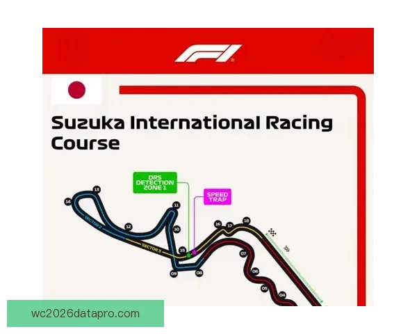 F1赛季最新动态：车队策略变化与赛道表现深度分析